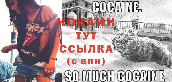 2c-b Балахна