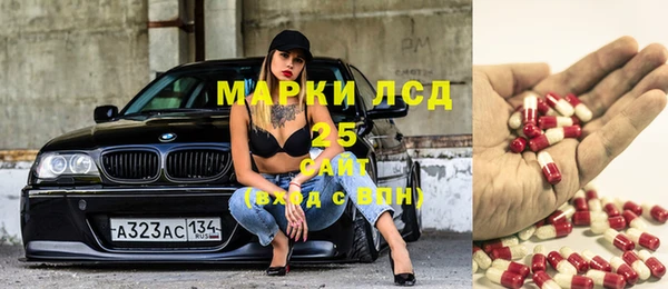 дживик Аркадак