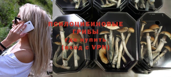 соль ск Балабаново