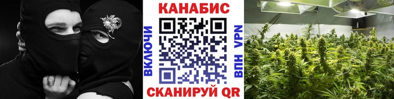 Шишки марихуана план  Котельнич 
